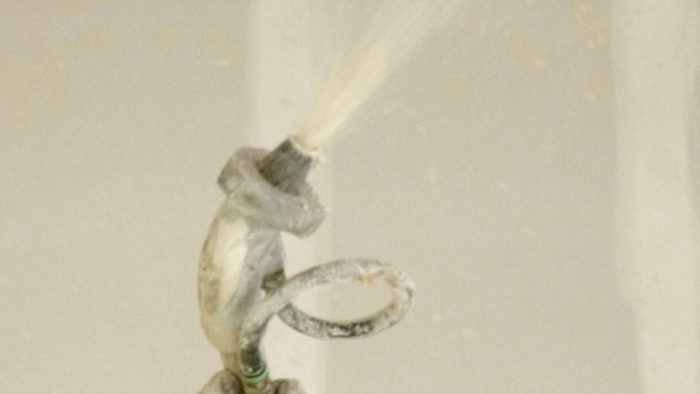 Spray gun tip